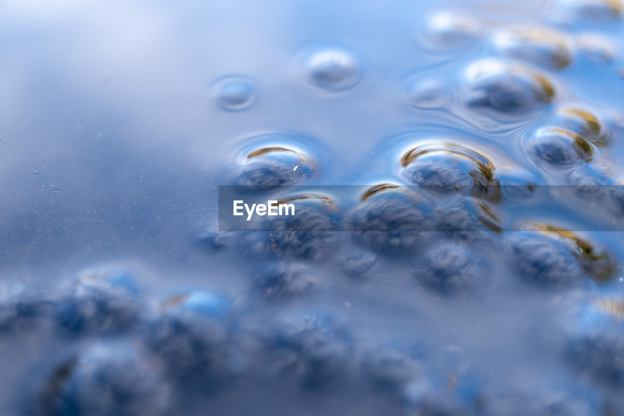 Full frame shot of wet bubbles