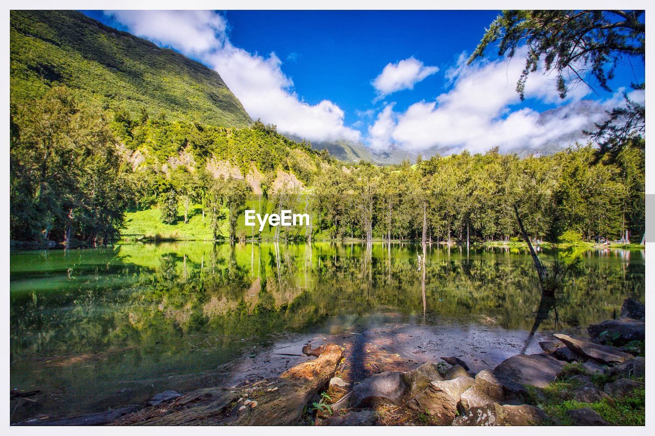 SCENIC VIEW OF RIVER IN FOREST AGAINST SKY