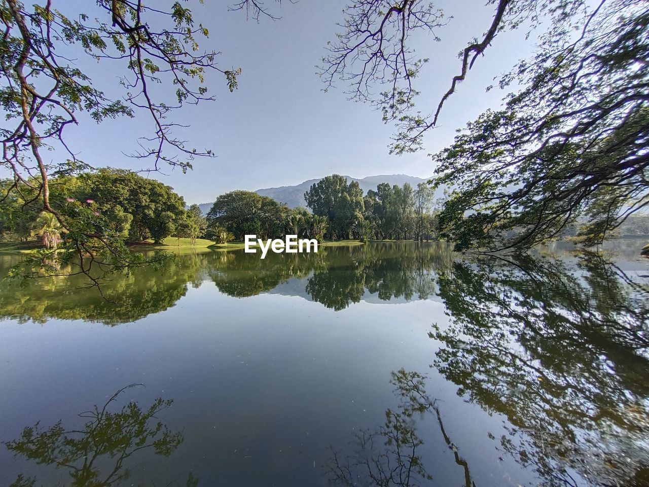 SCENIC VIEW OF LAKE BY TREES AGAINST SKY