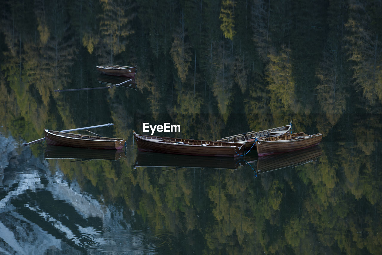 Boats moored on lake by trees