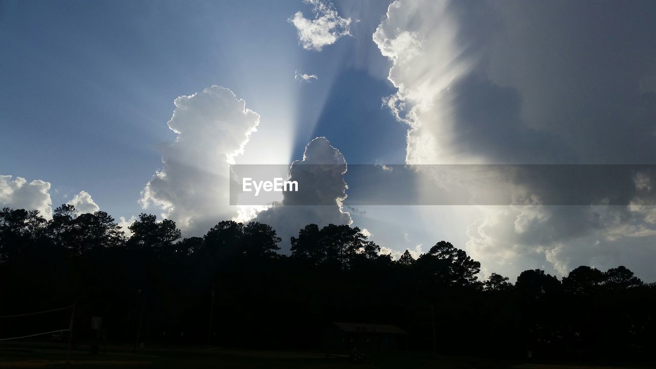 Low angle view of silhouette trees against cloudy sky during sunny day