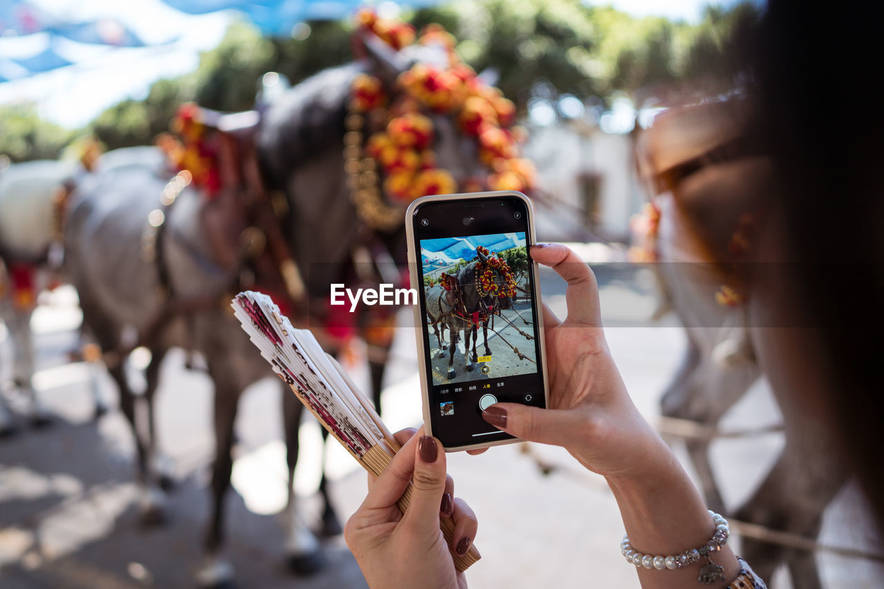 Soft focus of unrecognizable female tourist with fan shooting mules with decorated bridles on sunlit street during fair in seville, spain