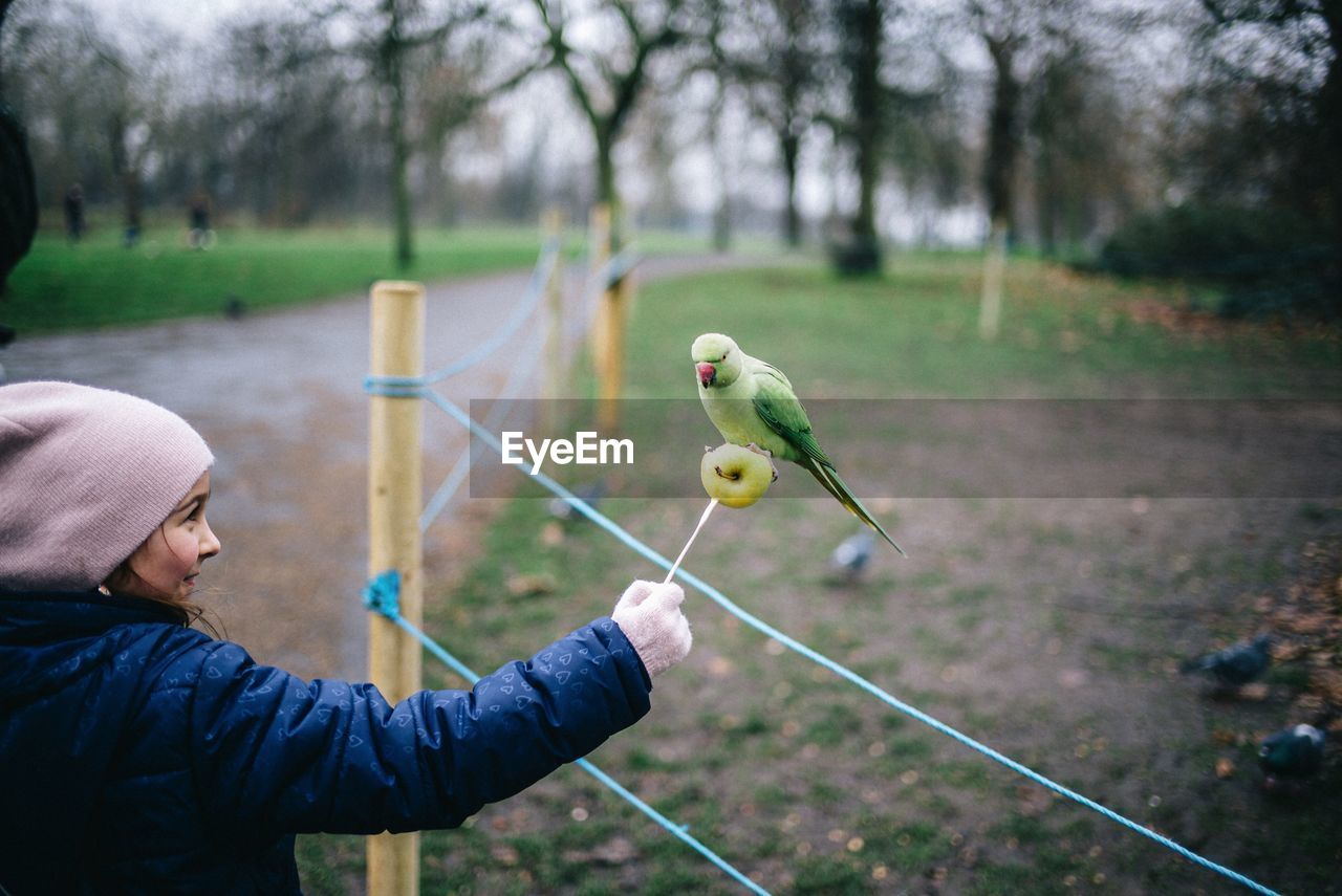 MAN HOLDING A BIRD ON FIELD