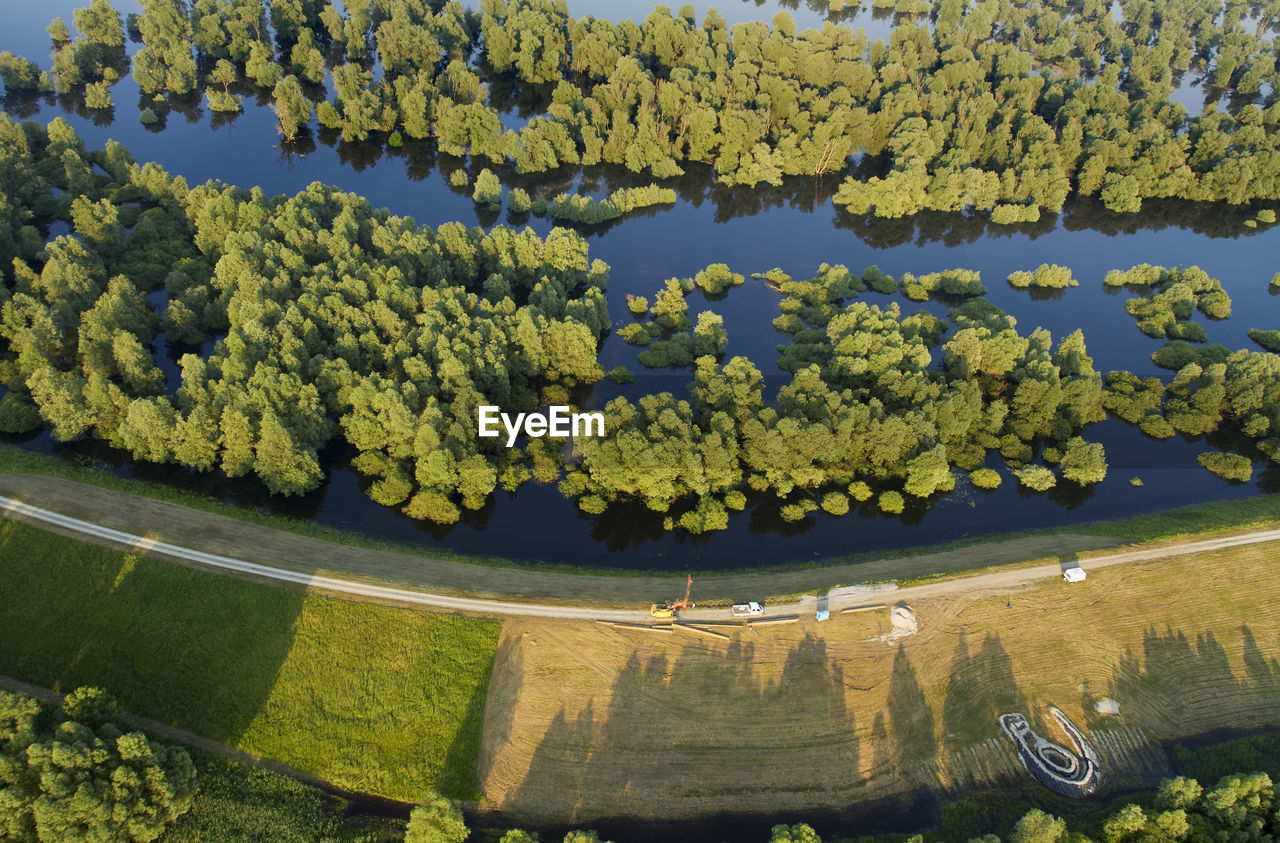 HIGH ANGLE VIEW OF TREES AND PLANTS IN WATER