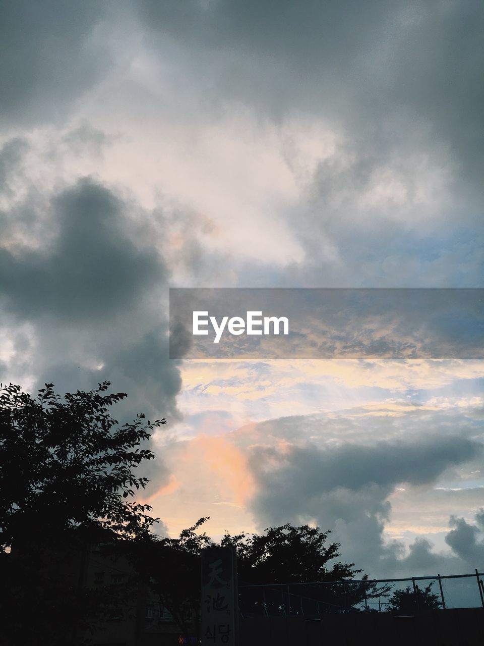 LOW ANGLE VIEW OF TREES AGAINST CLOUDY SKY