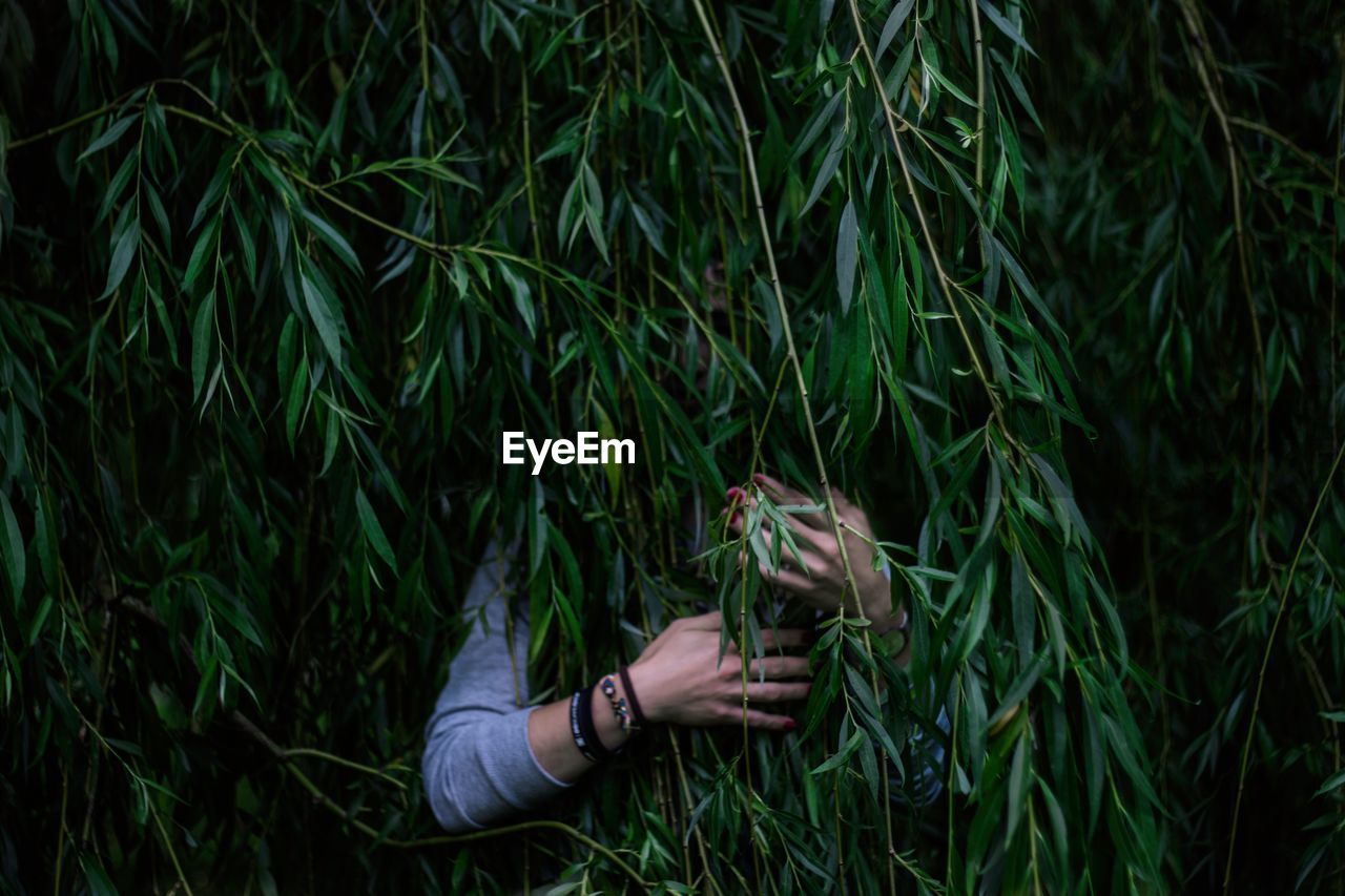 Woman hiding behind branches