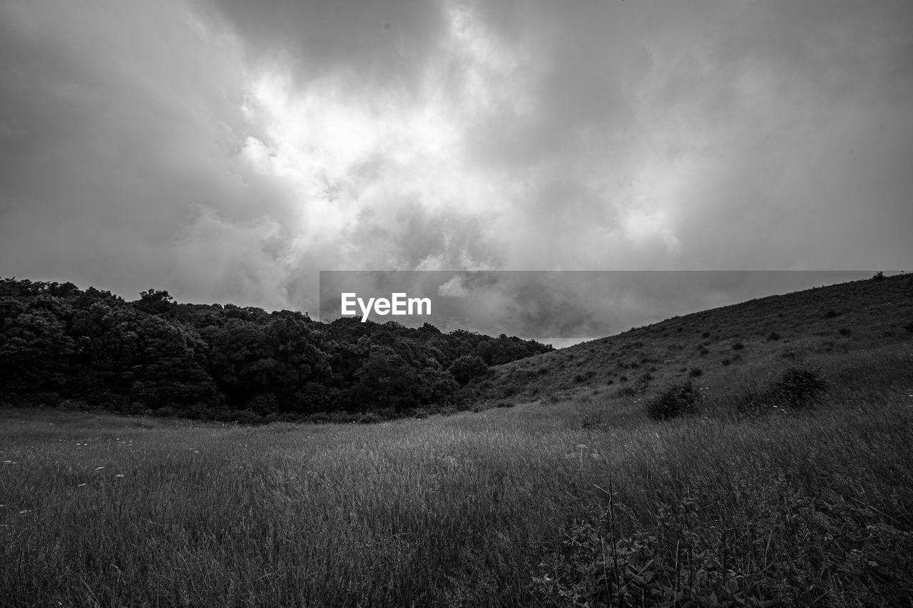 environment, sky, darkness, cloud, nature, landscape, black and white, monochrome, land, plant, horizon, beauty in nature, monochrome photography, scenics - nature, grass, storm, no people, storm cloud, mountain, outdoors, dramatic sky, sunlight, tranquility, non-urban scene, field, overcast, thunderstorm, dark, tree
