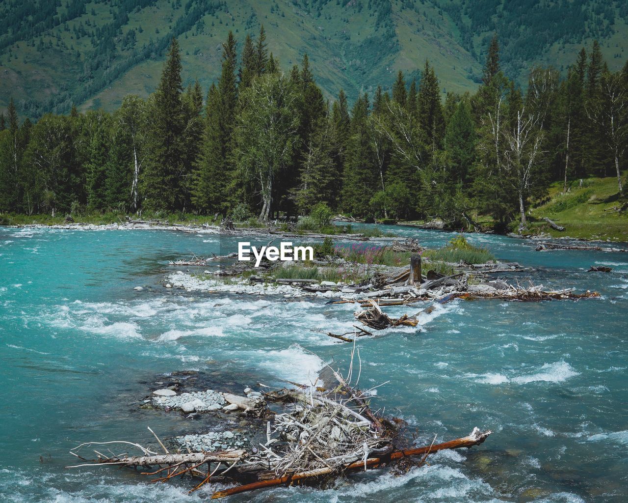 SCENIC VIEW OF LAKE AGAINST TREES