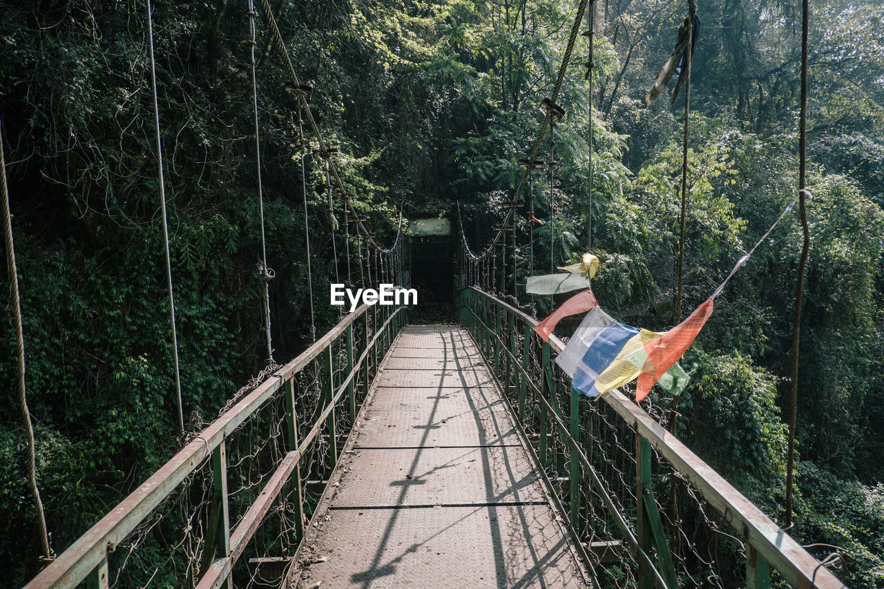 View of bridge in forest