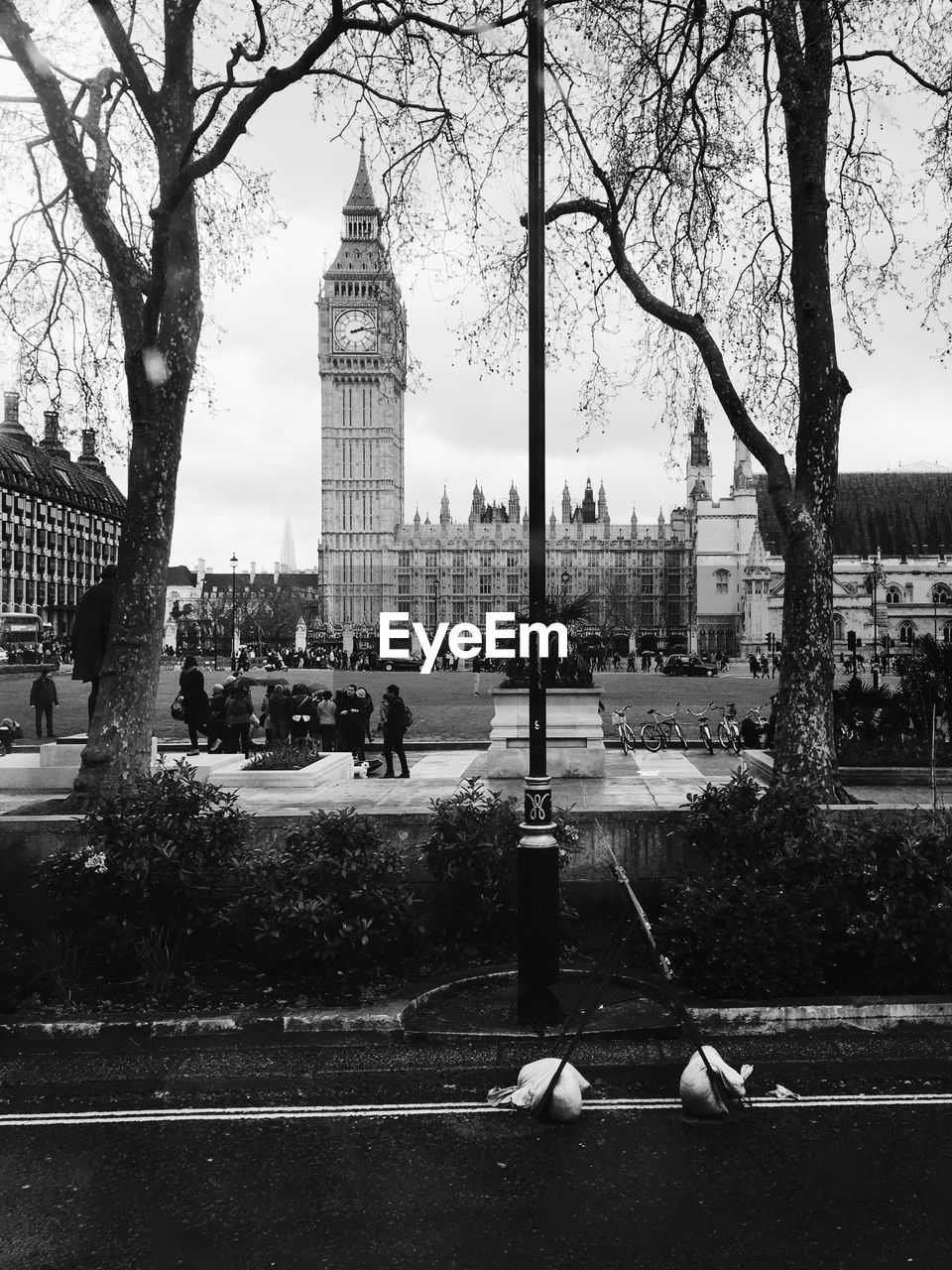 Trees by big ben against sky