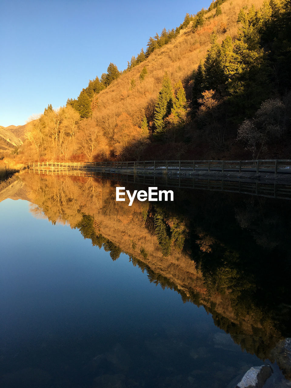 Scenic view of lake by trees against sky