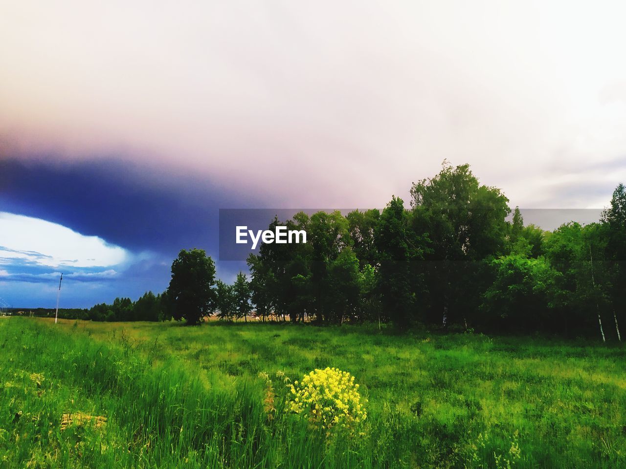 SCENIC VIEW OF FIELD AGAINST SKY DURING SUNRISE