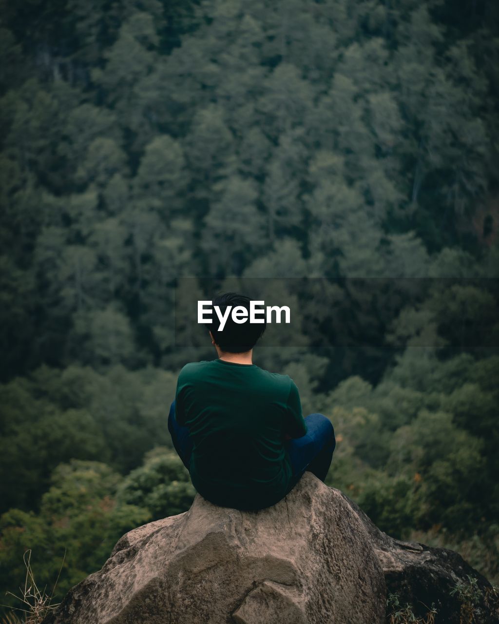 High angle view of man sitting on rock looking at forest