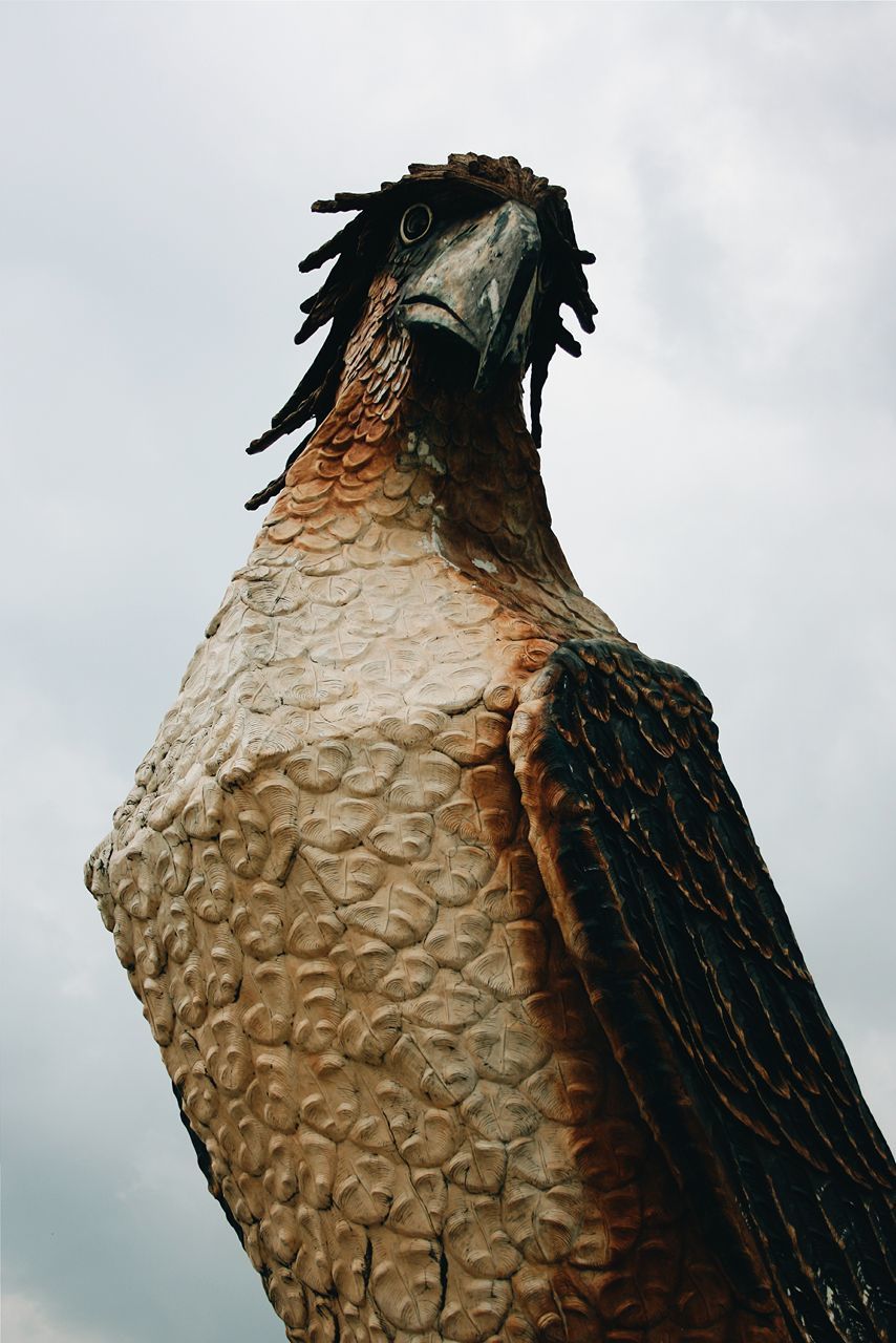 Sculpture of philippine eagle against clear sky