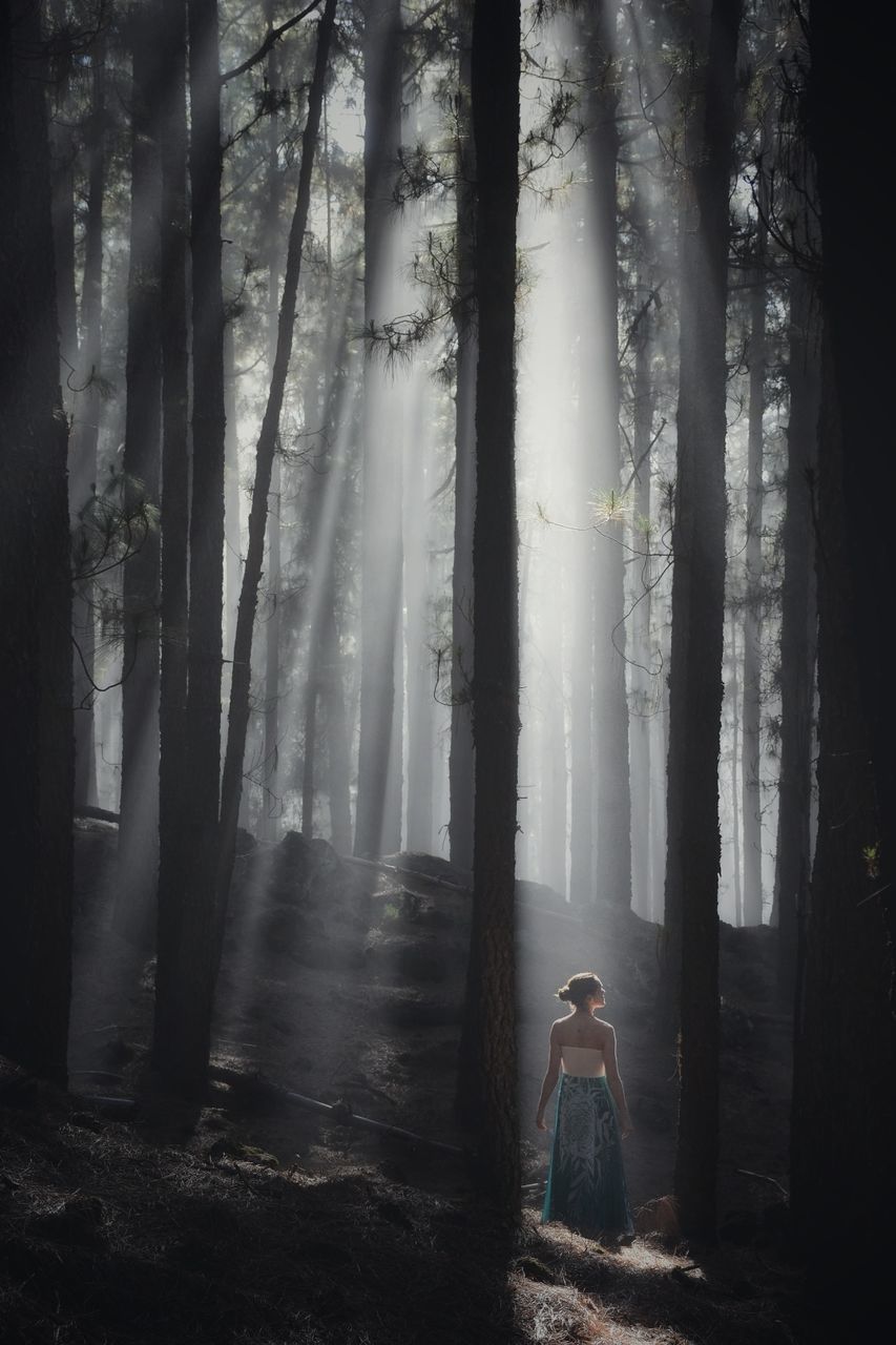 Young woman standing by tree in forest