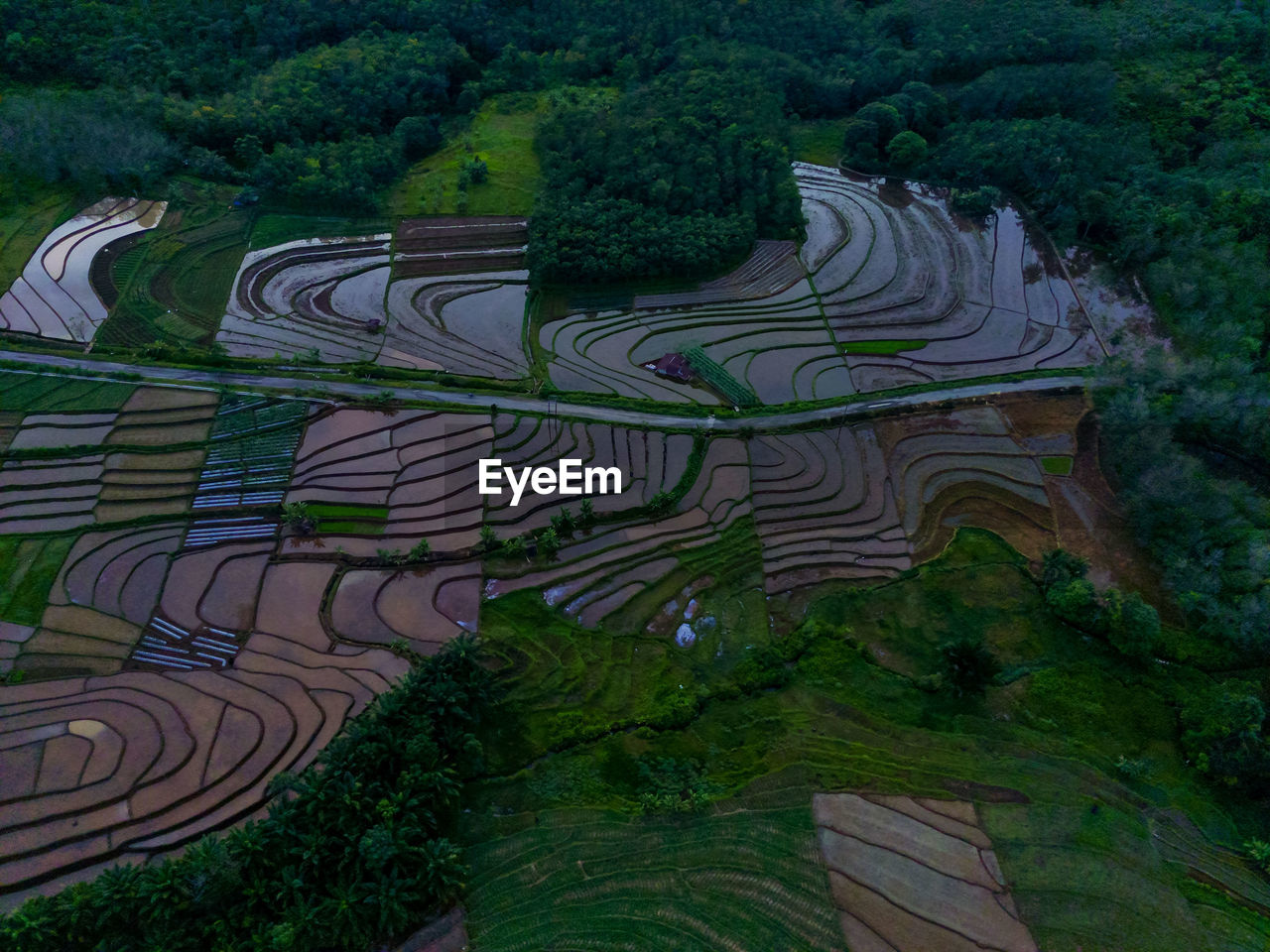 Aerial view beautiful morning view from indonesia about mountain and forest