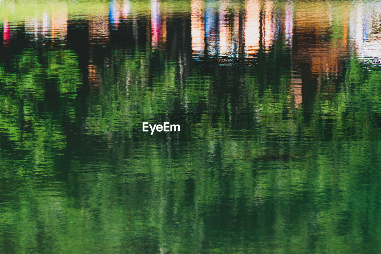 REFLECTION OF PLANTS IN LAKE