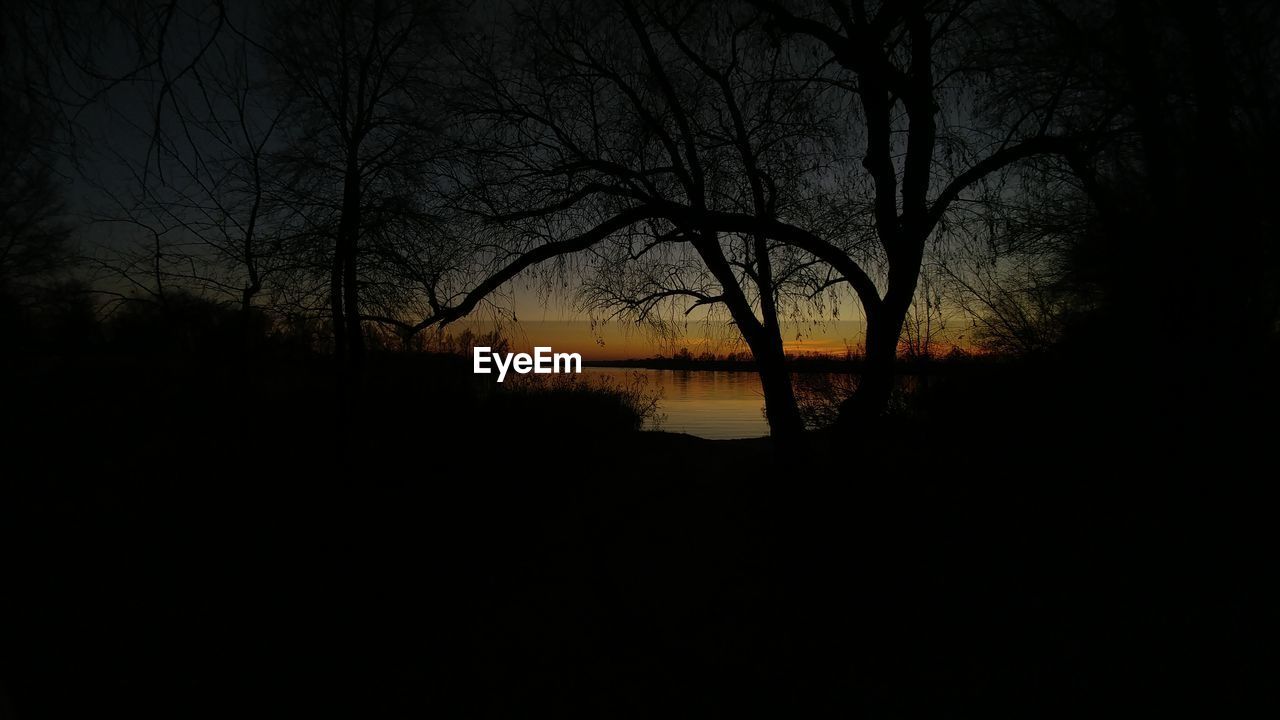 SILHOUETTE TREES BY SEA AGAINST SKY AT SUNSET