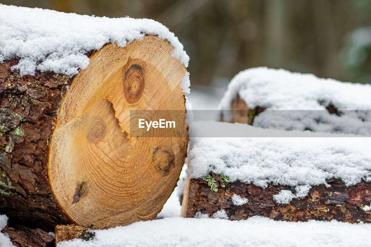 Stack or pile composed of blocks, pieces or logs of wood in winter or spring with snow