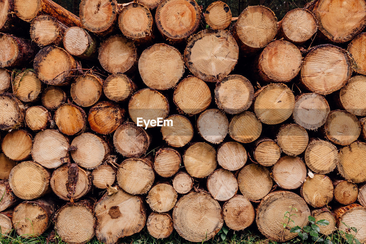 Full frame shot of firewood