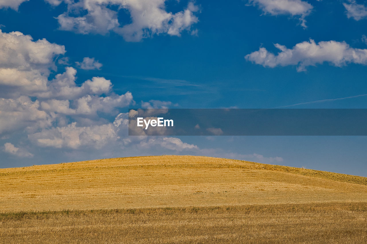 sky, landscape, environment, cloud, field, horizon, grassland, land, plain, agriculture, prairie, nature, scenics - nature, rural scene, beauty in nature, cereal plant, plant, blue, crop, no people, tranquility, steppe, tranquil scene, horizon over land, farm, day, summer, cloudscape, outdoors, barley, sunlight, rural area, food, yellow, grass, non-urban scene, idyllic, hill, urban skyline, growth, wheat, soil, food and drink, gold