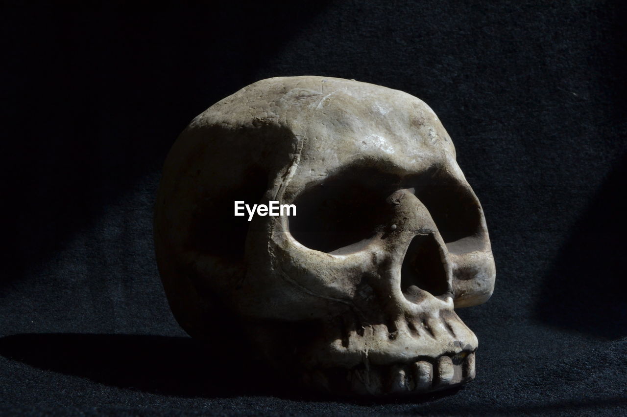 Close-up of human skull on table