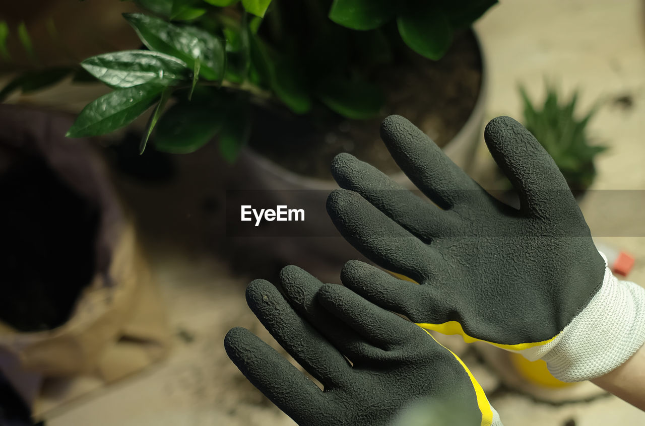 glove, hand, safety glove, green, protective glove, protective workwear, protection, one person, flower, nature, adult, gardening glove, security, plant, lifestyles, close-up, growth