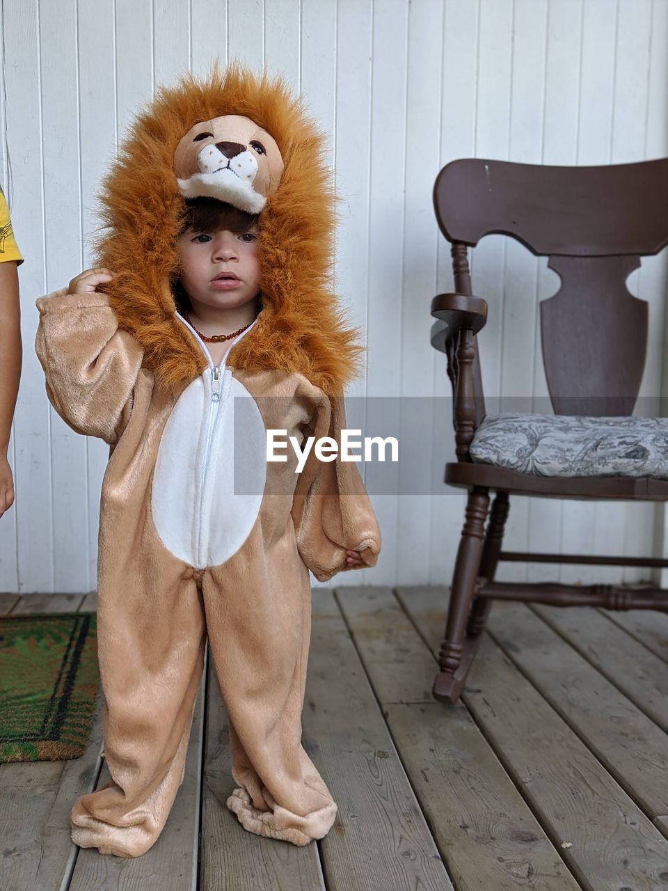 Portrait of boy in a lion costume