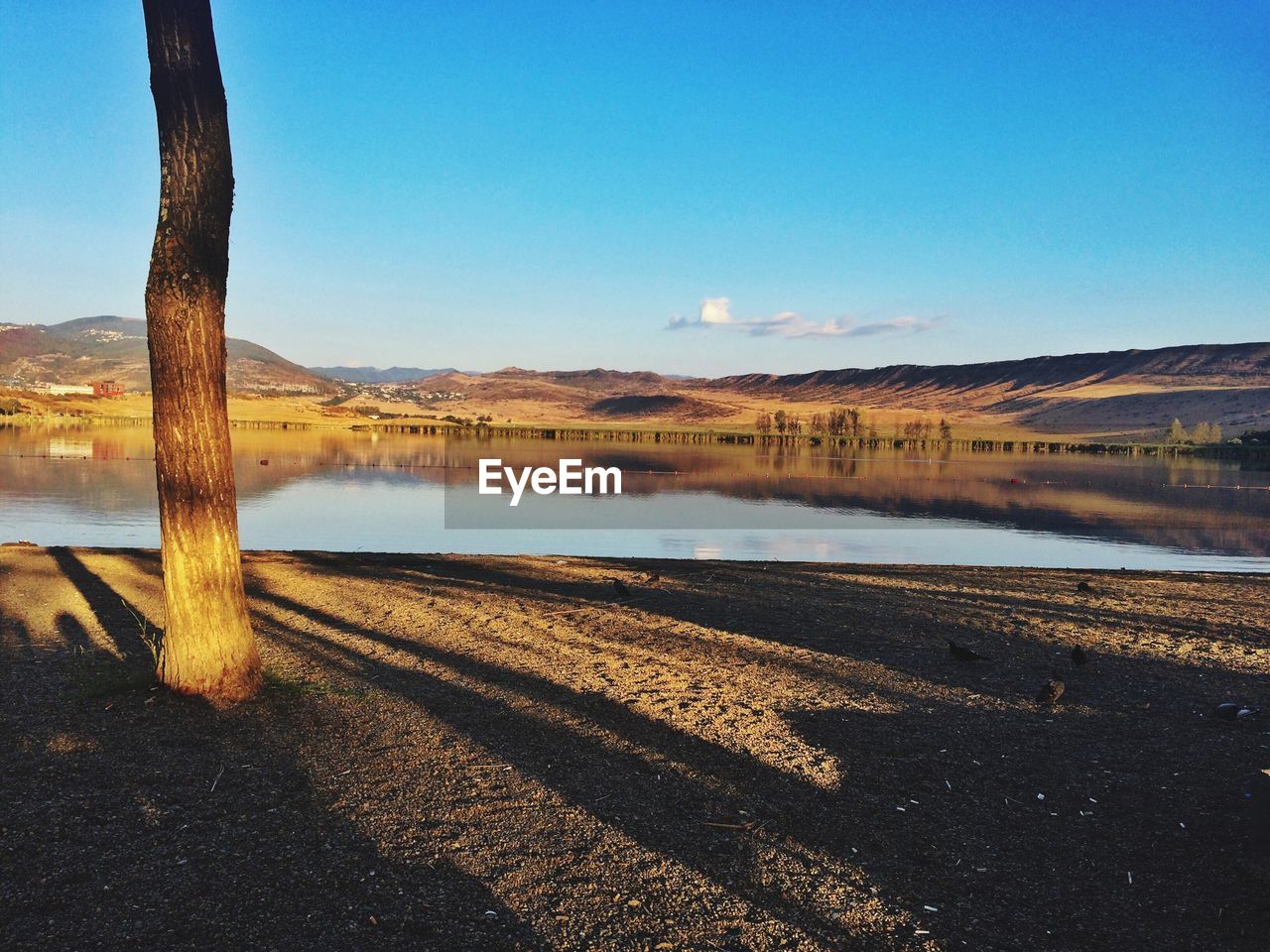 Reflection of trees in calm lake