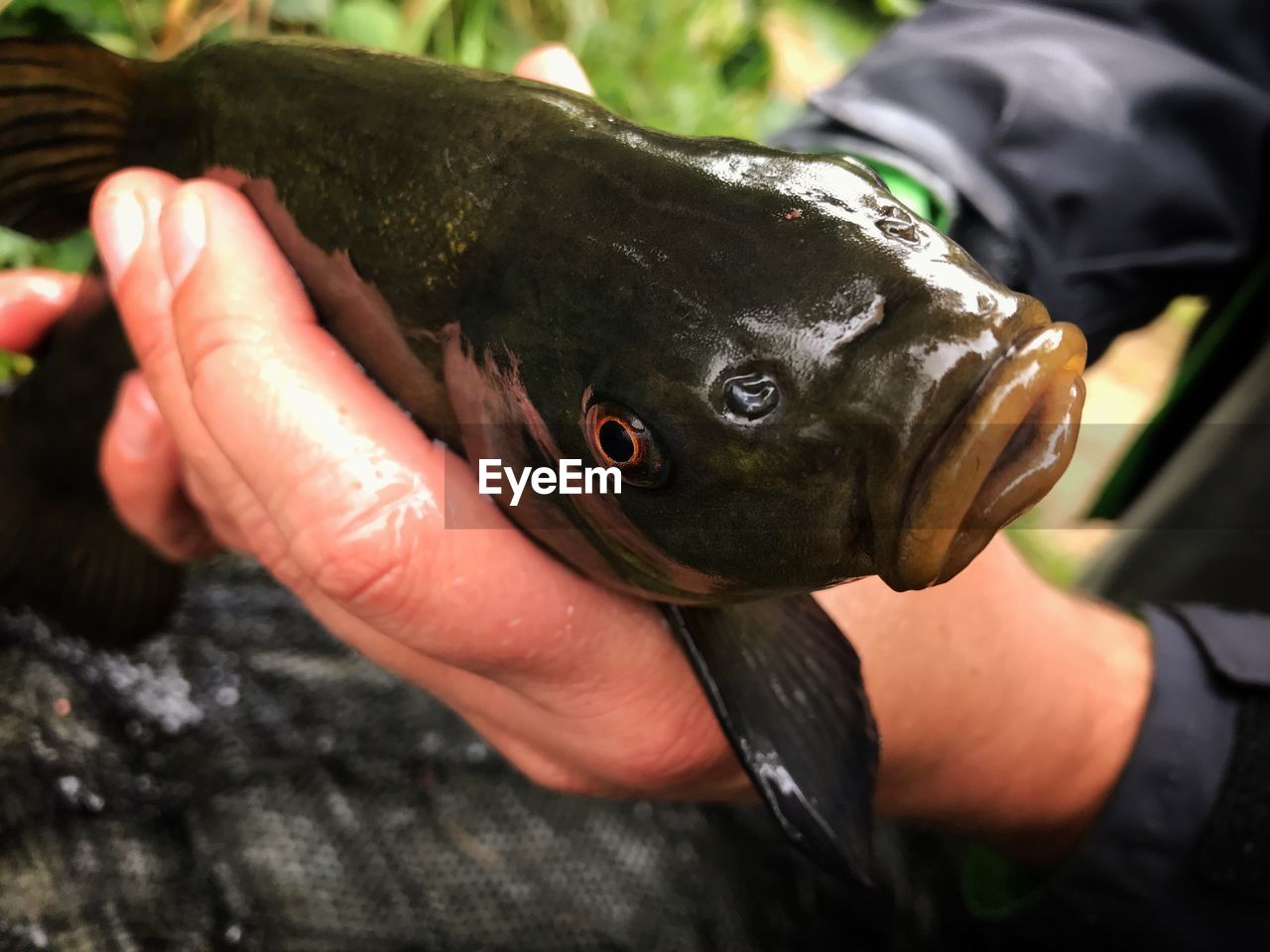 MIDSECTION OF MAN HOLDING FISH