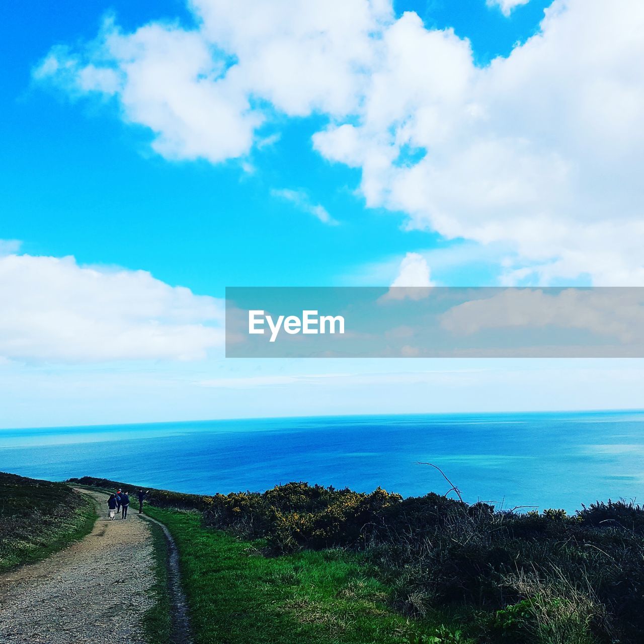 SCENIC VIEW OF SEA BY FIELD AGAINST SKY