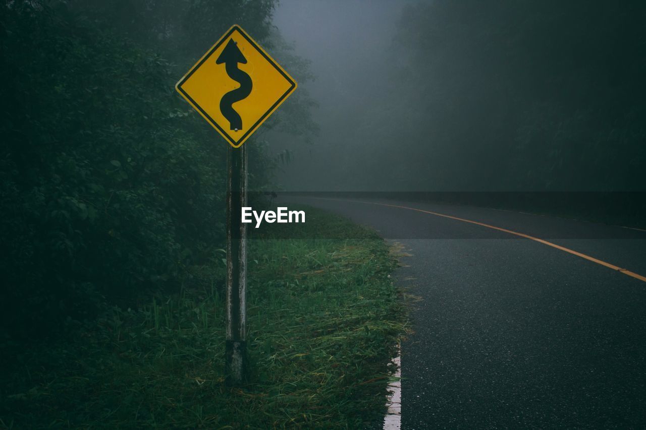 Arrow symbol against trees in forest during foggy weather