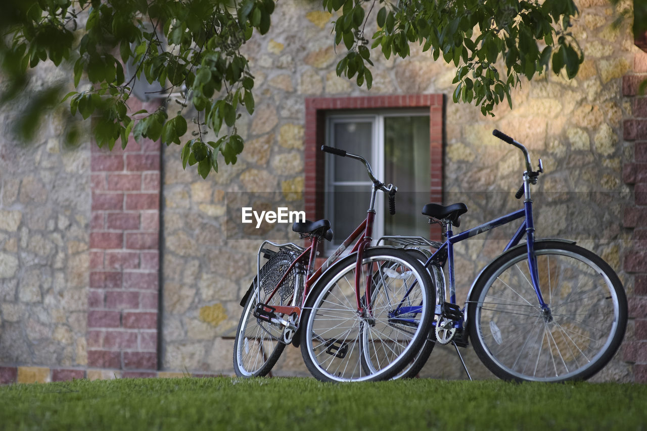 Two bicycles against wall