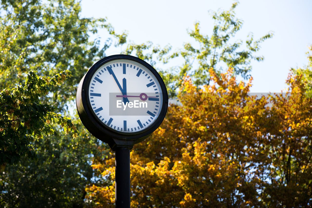 Low angle view of clock on tree