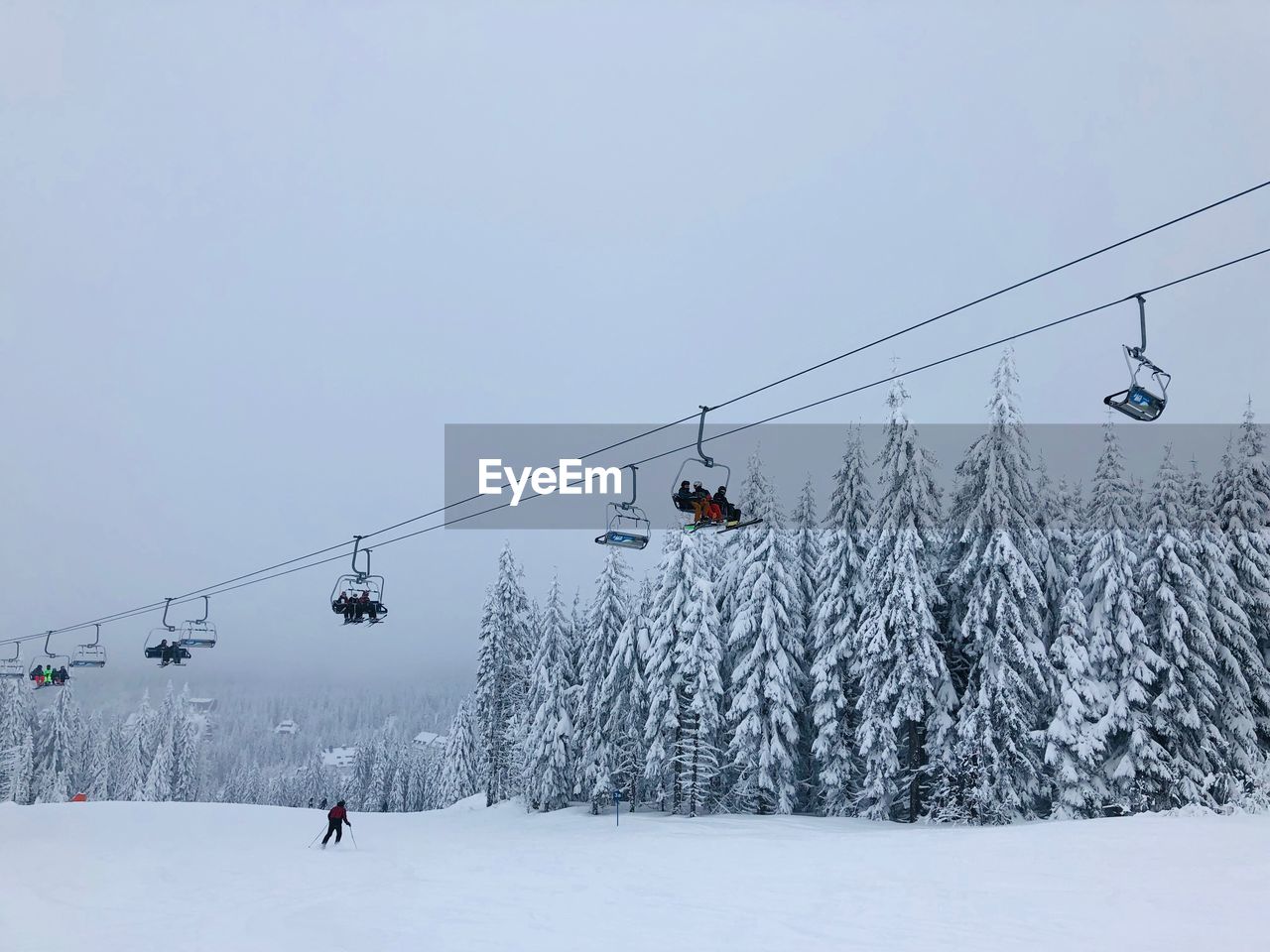 Ski lift surrounded by forest of evergreen trees covered in snow