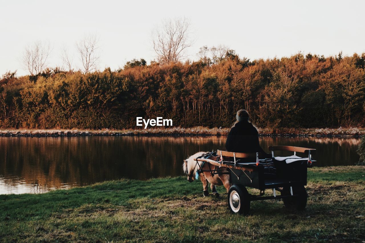 Rear view of woman sitting on horse cart by lake