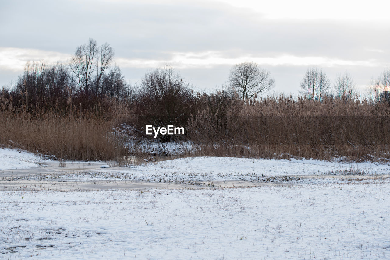 Trees on snow covered field against sky