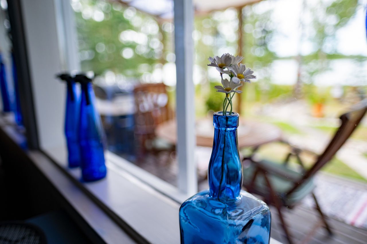 CLOSE-UP OF PURPLE FLOWER IN GLASS