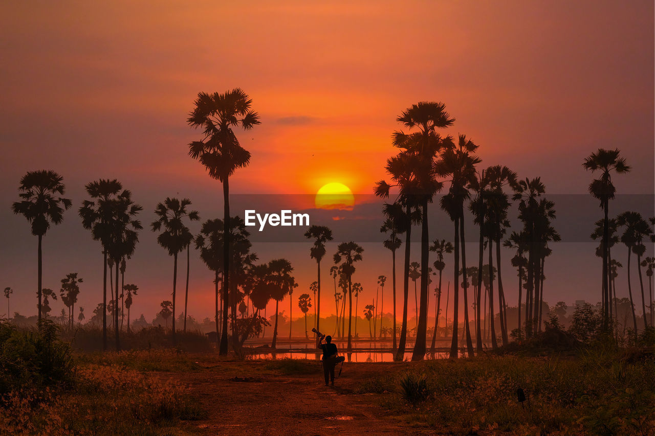 SILHOUETTE PERSON STANDING BY TREE AGAINST ORANGE SKY