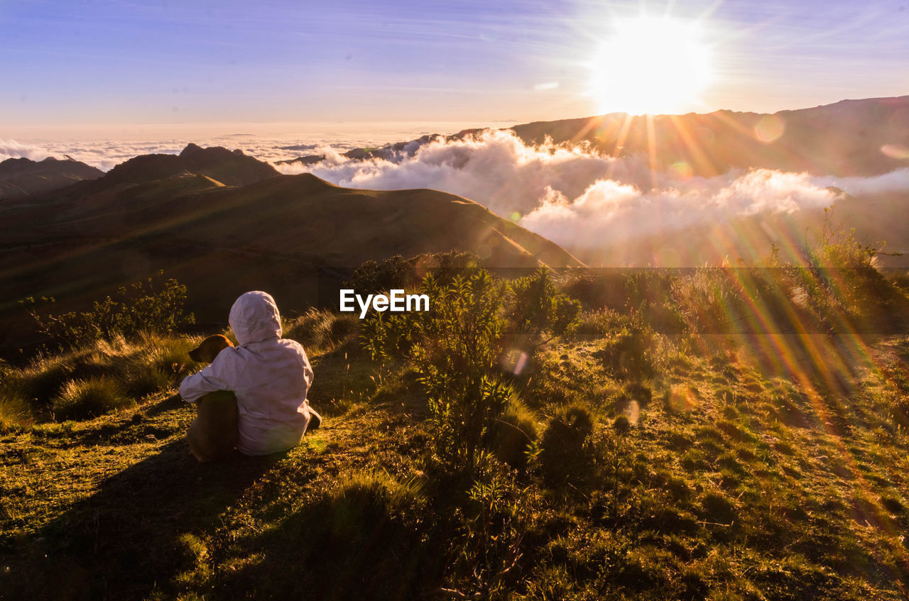 Rear view of woman with dog sitting on mountain against sky