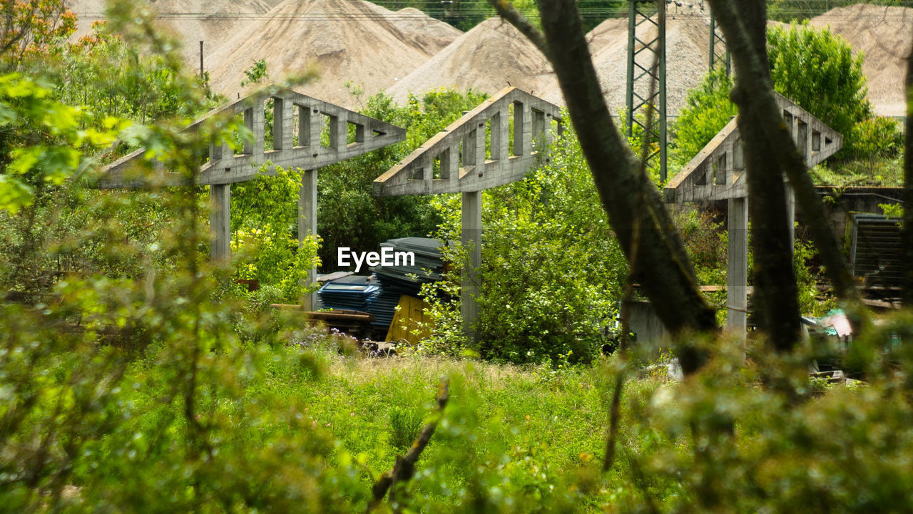 BUILT STRUCTURE IN FOREST
