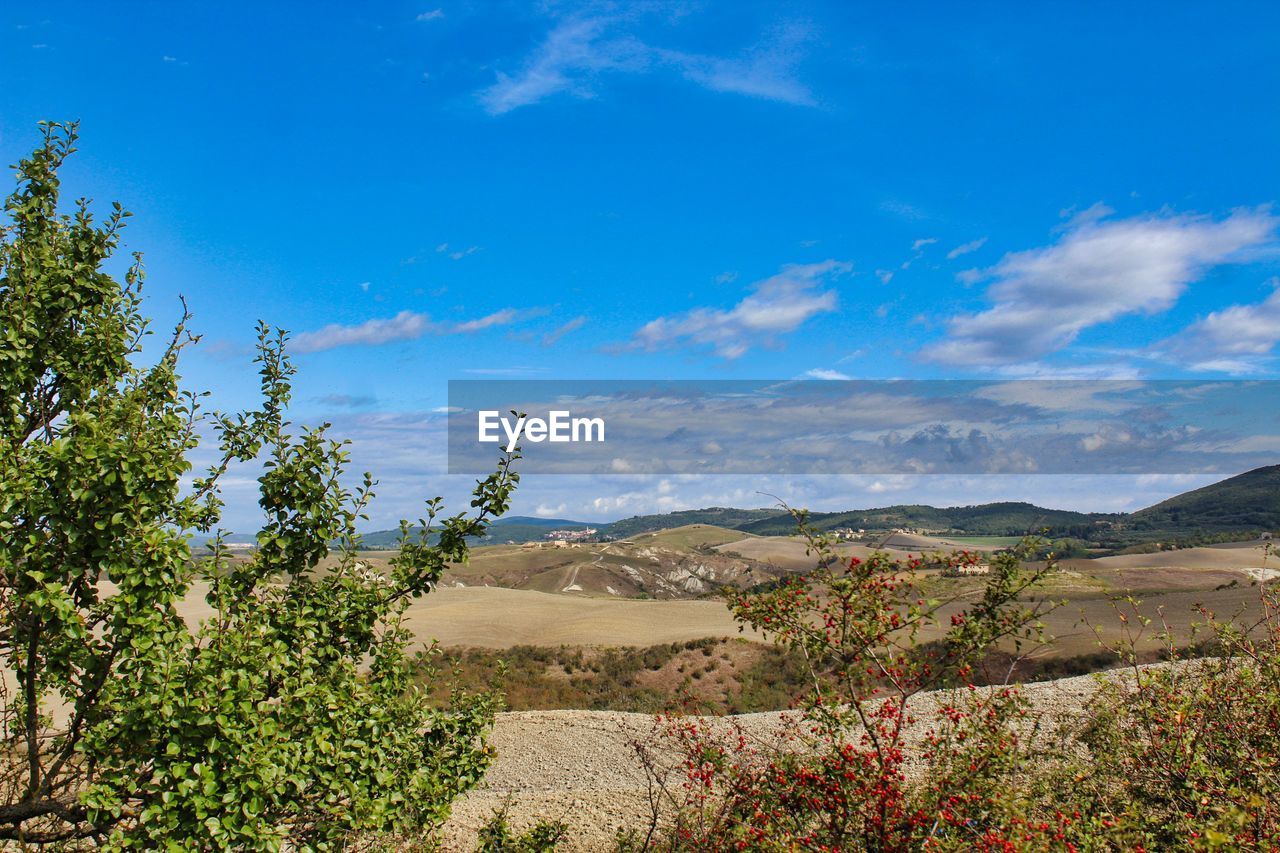 SCENIC VIEW OF LANDSCAPE AGAINST BLUE SKY