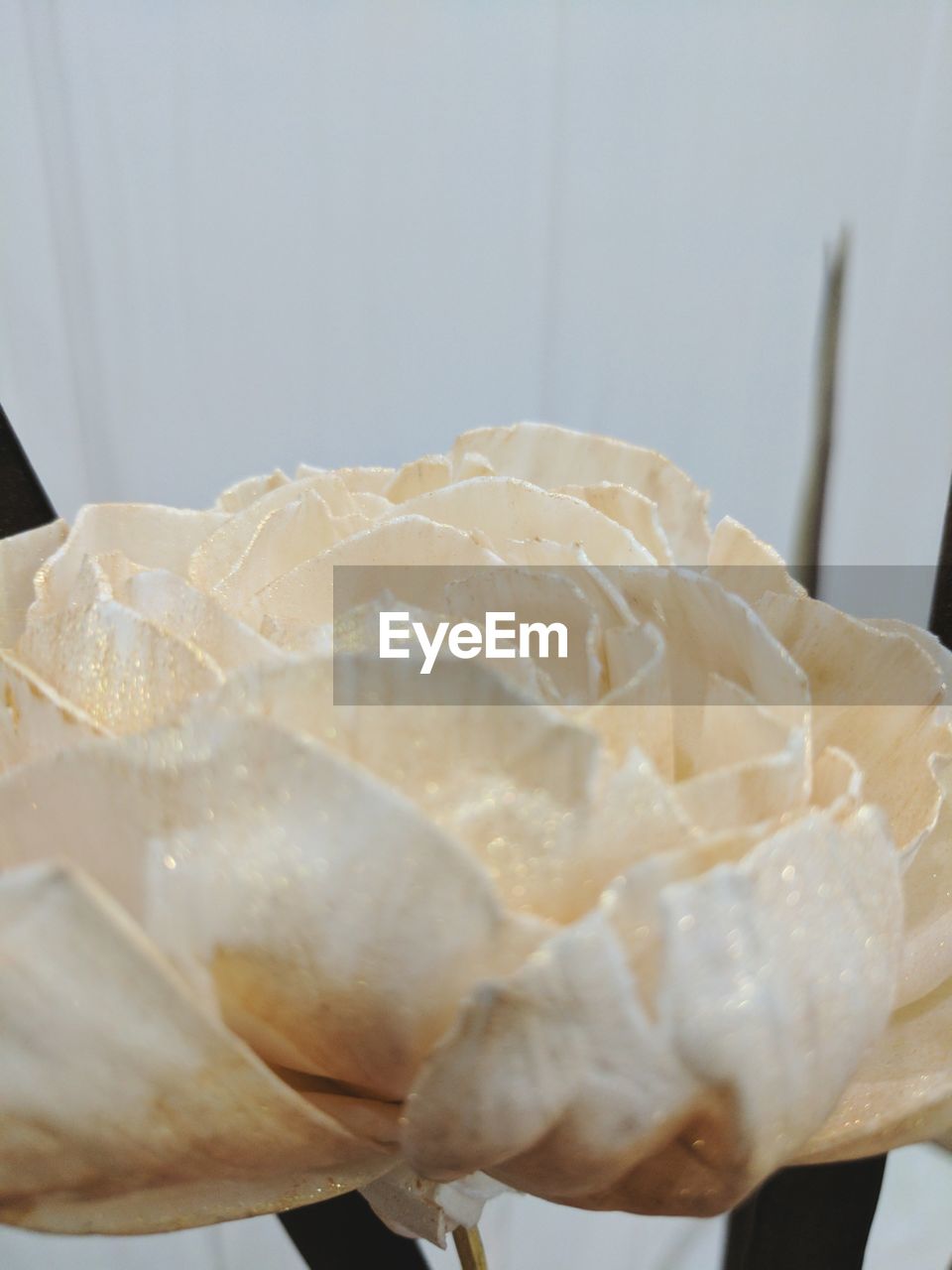 CLOSE-UP OF BREAD IN CONTAINER