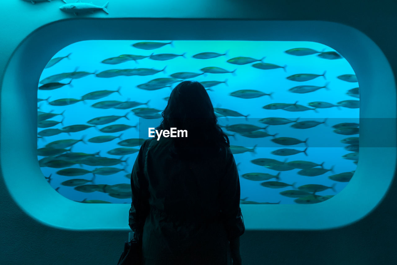 WOMAN LOOKING AT FISH TANK