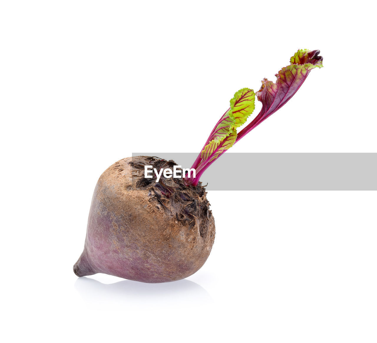 Close-up of beetroot against white background