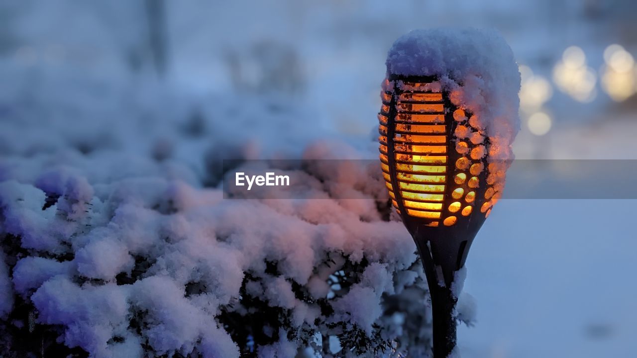 Closeup of snow on bushes and torch