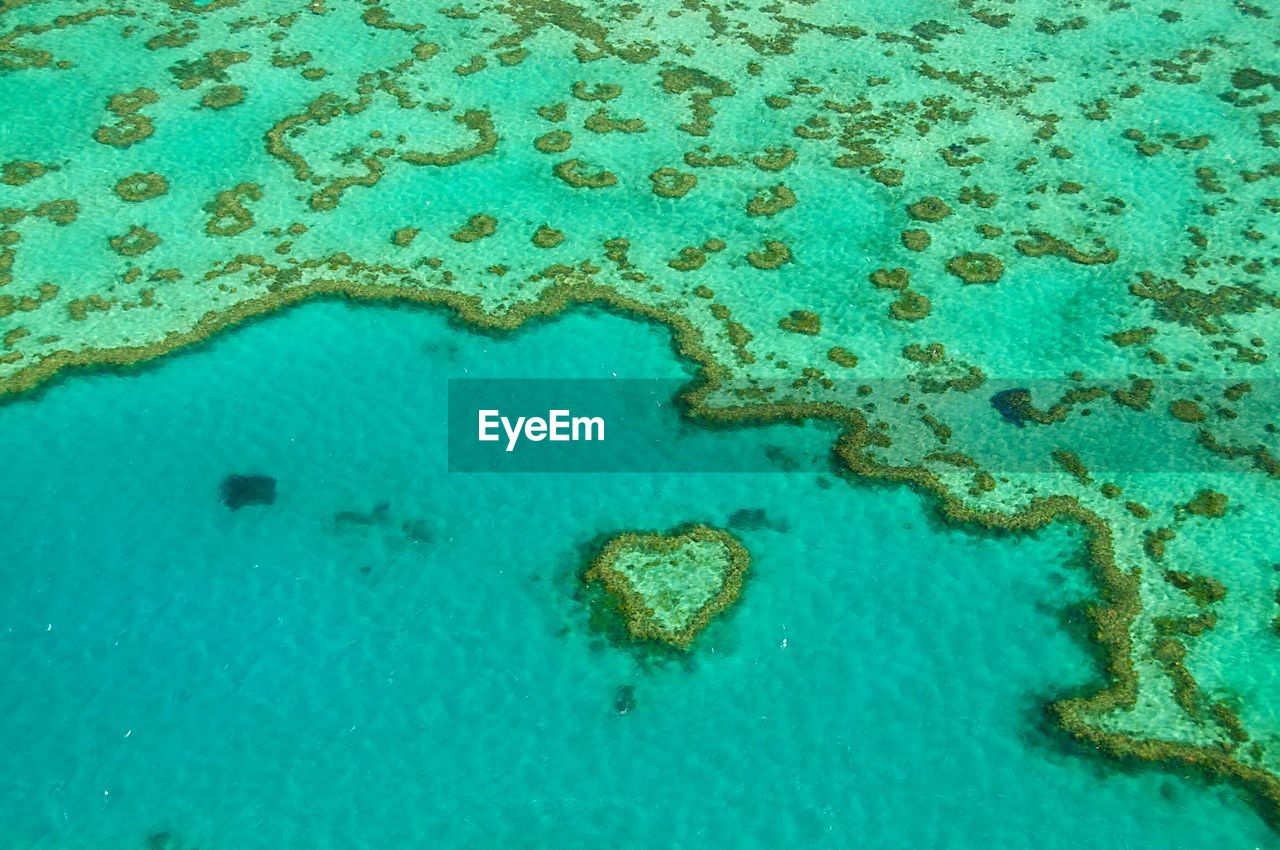 Aerial view of great barrier reef