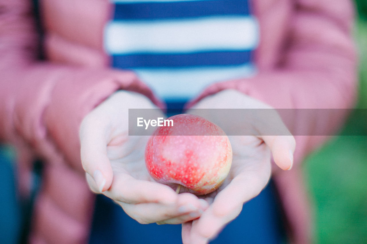 Close-up of hand holding fruit