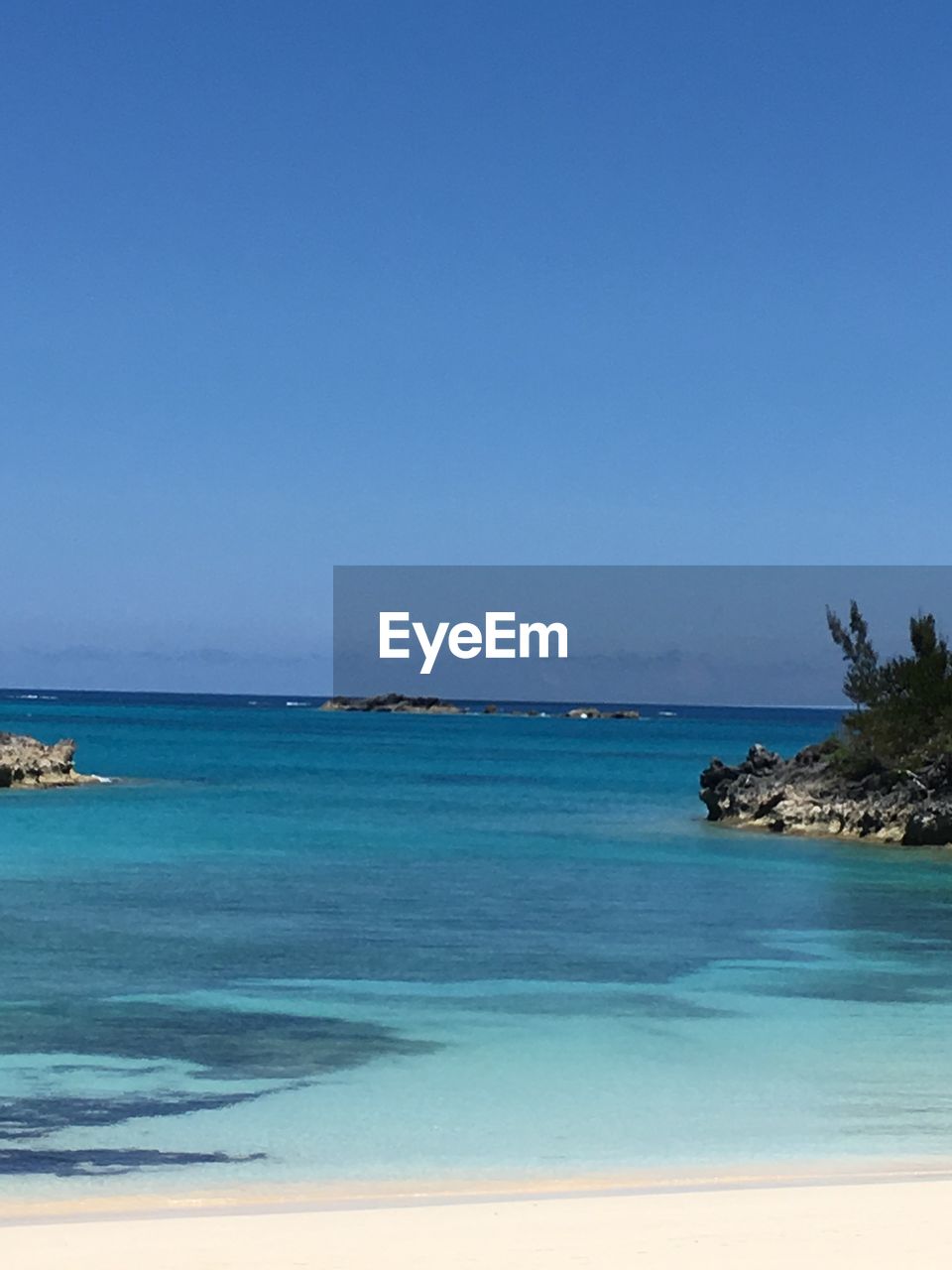 SCENIC VIEW OF BEACH AGAINST CLEAR SKY