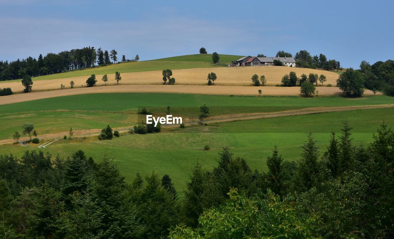 SCENIC VIEW OF FARMS AGAINST SKY